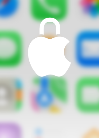 Apple privacy logo with a lock icon, white on a blurred background of the Apple HomeView home screen